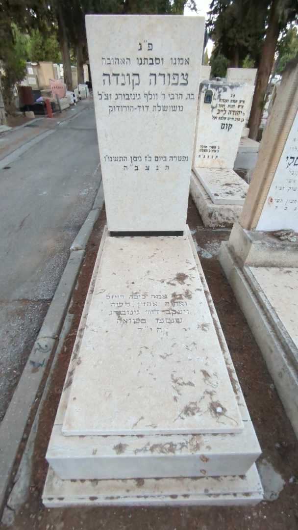קברו של אהרן גינזבורג