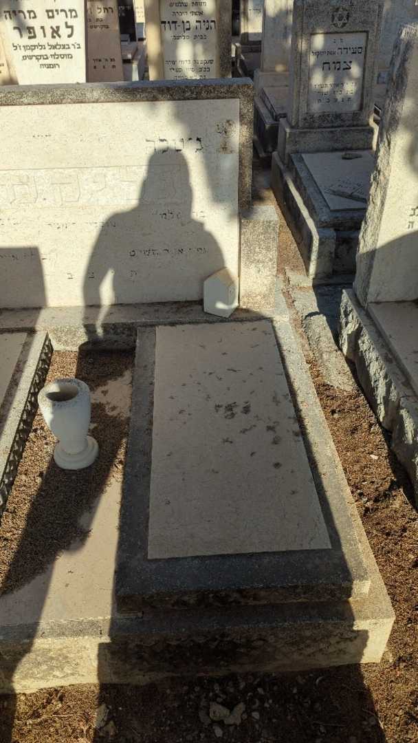 קברו של גיטלה גליקמן. תמונה 1