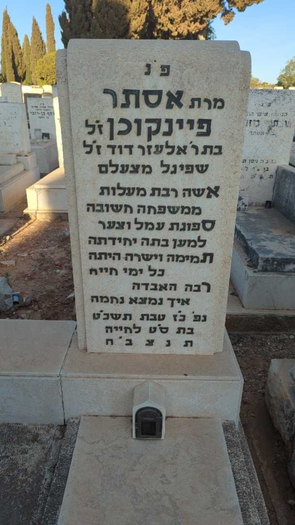 קברו של אסתר פיינקוכן. תמונה 1
