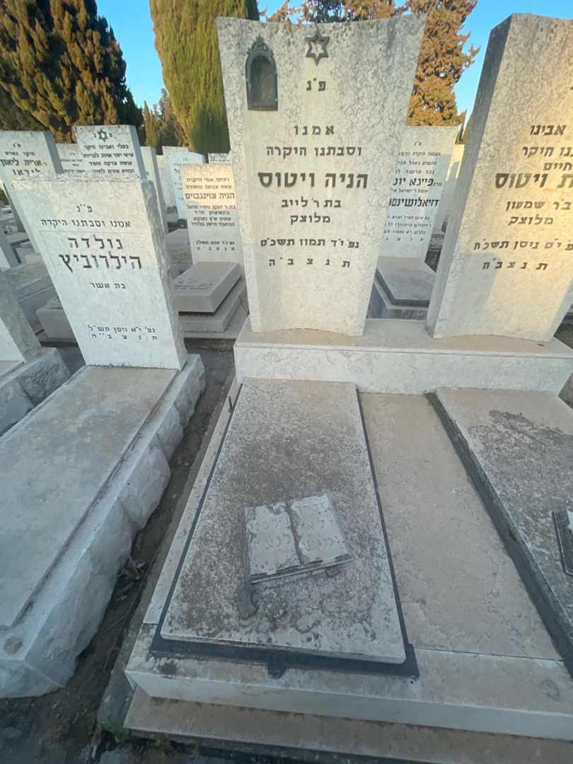 קברו של הניה ויטוס. תמונה 2