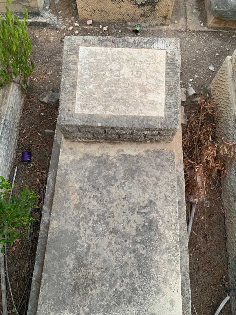 קברו של סופי בילק