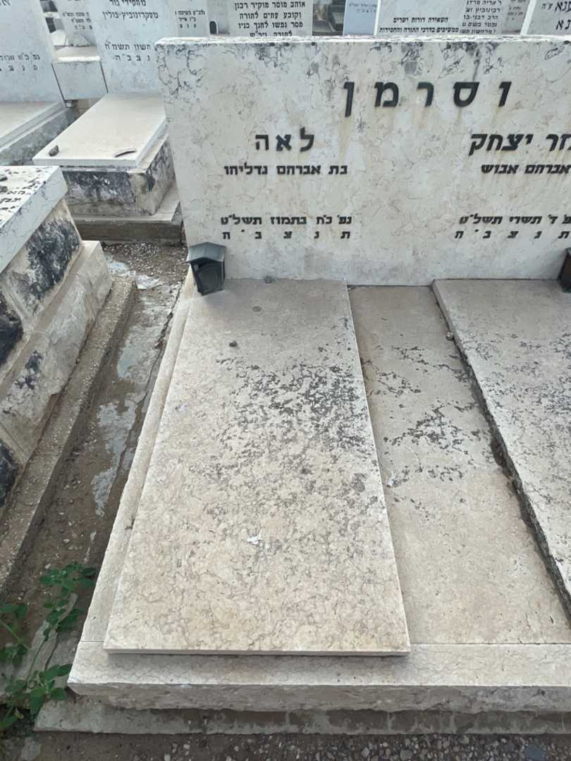 קברו של לאה וסרמן. תמונה 2