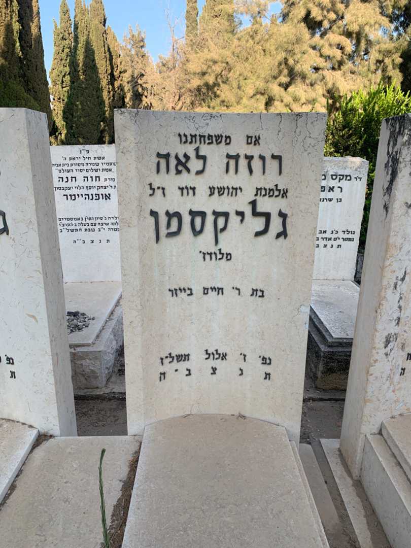 קברו של רוזה לאה גליקסמן. תמונה 2