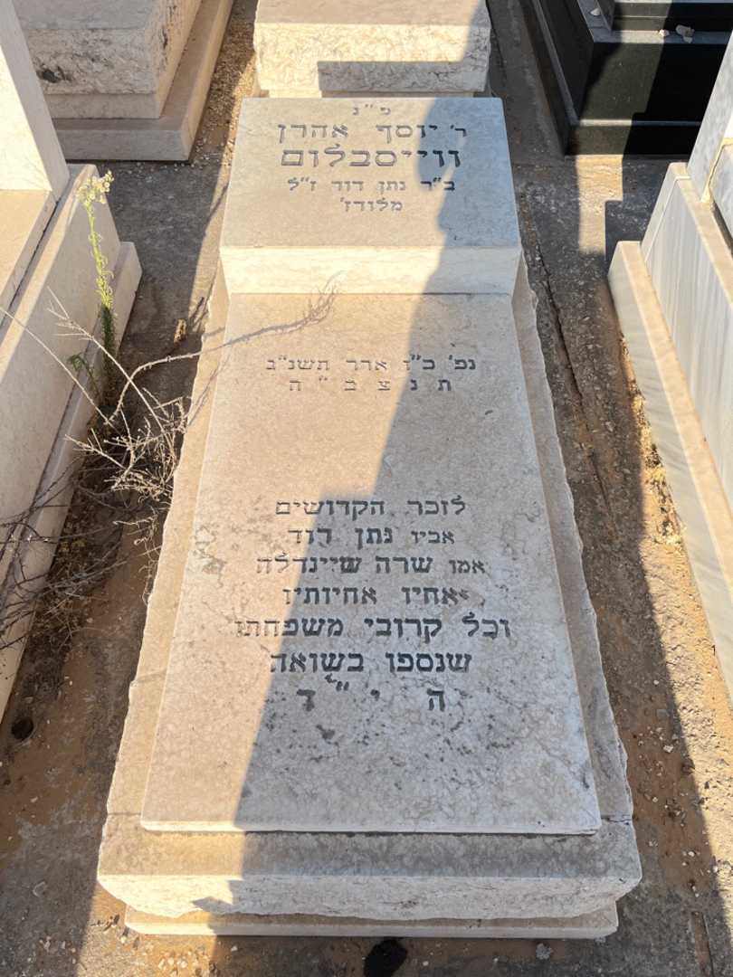 קברו של יוסף אהרן ווייסבלום