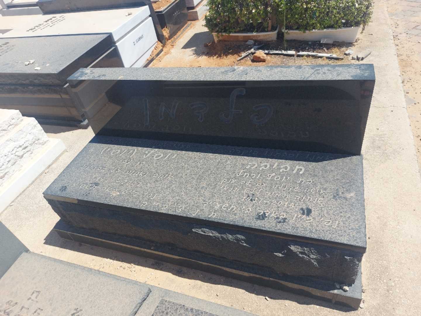 קברו של חביבה פלדמן. תמונה 1