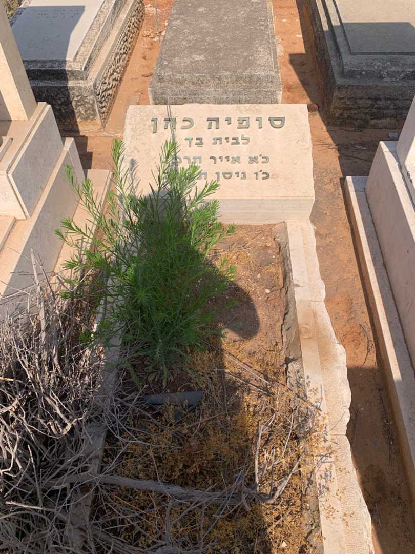 קברו של סופיה כהן