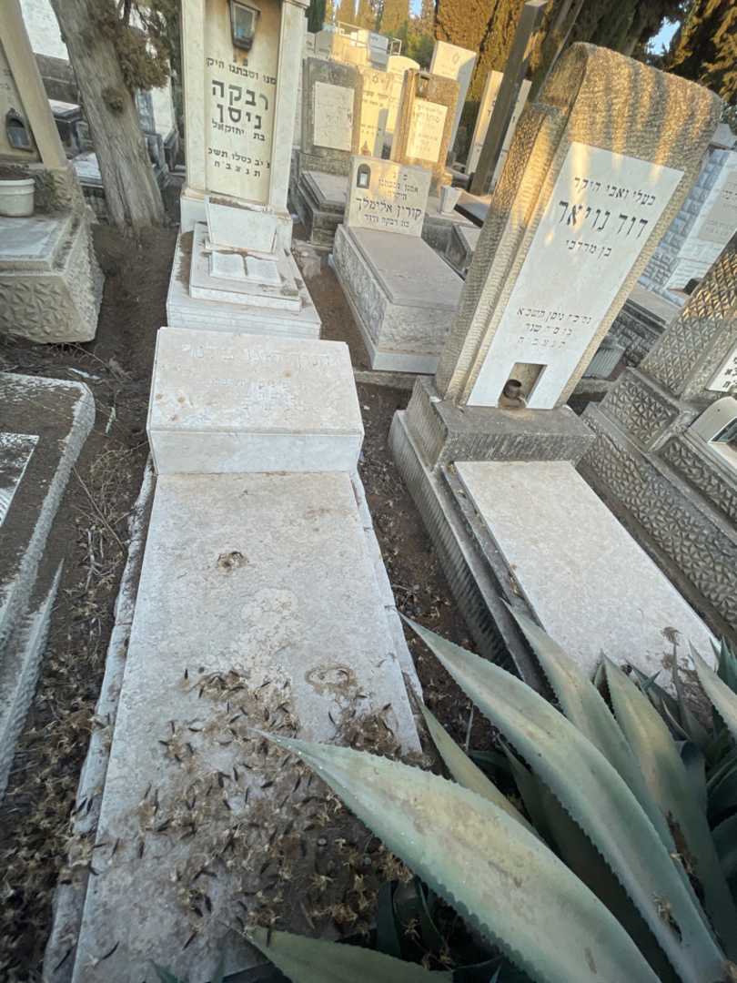 קברו של חנוך צלנר. תמונה 1