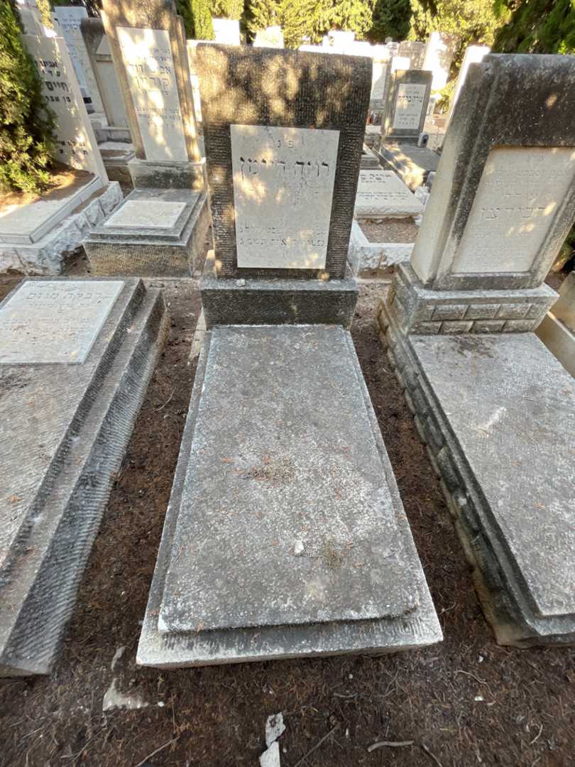 קברו של רוזה היימן