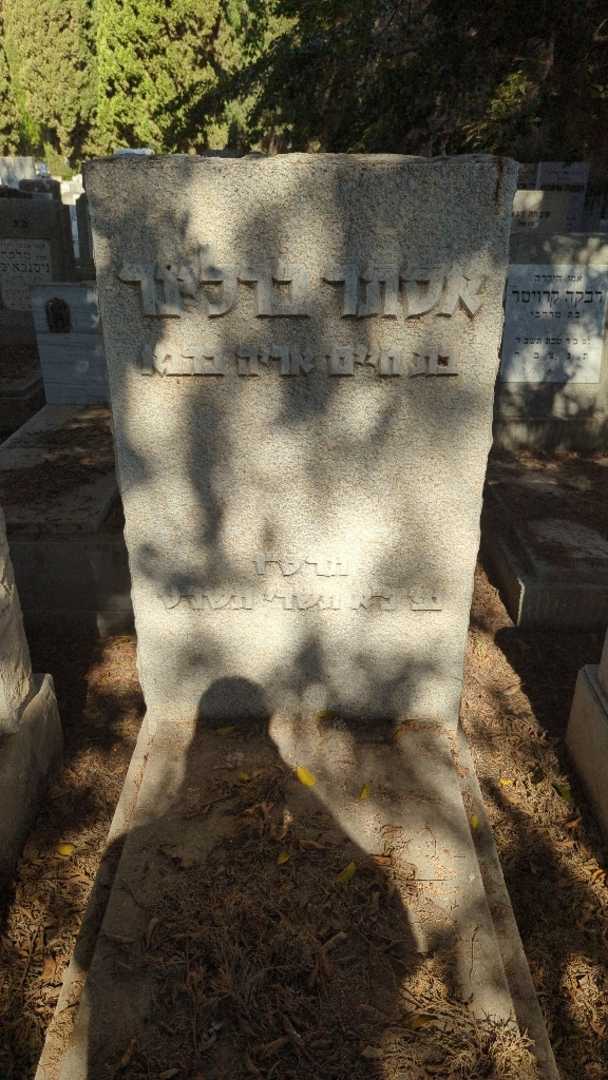 קברו של אסתר ברלינר
