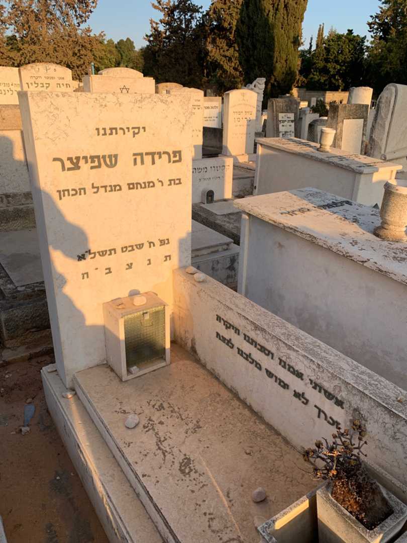 קברו של פרידה שפיצר