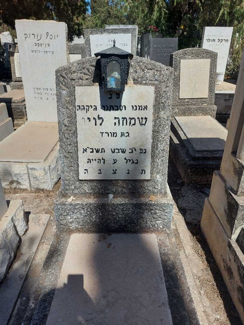 קברו של שמחה לויו