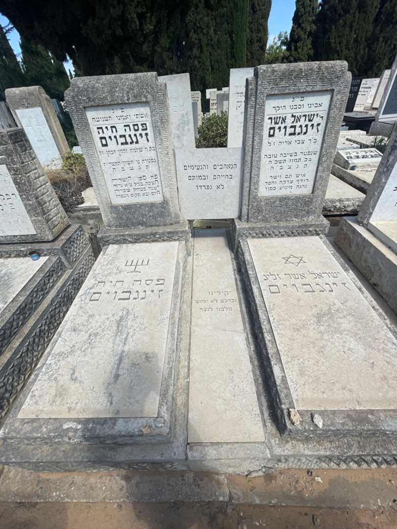 קברו של פסה חיה זינגבוים. תמונה 1