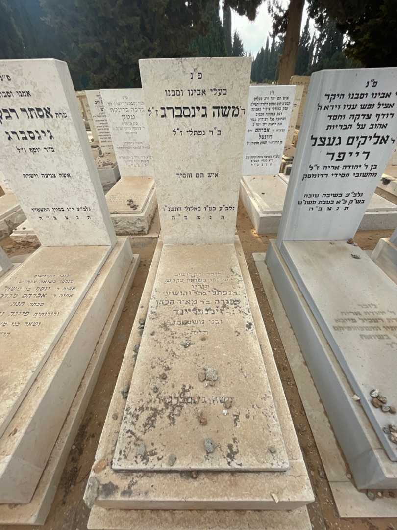 קברו של משה גינסברג. תמונה 1