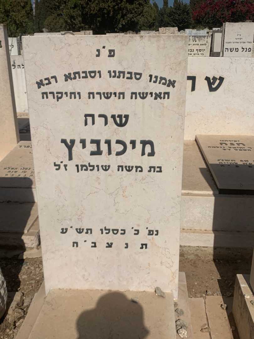 קברו של שרה מיכוביץ. תמונה 1