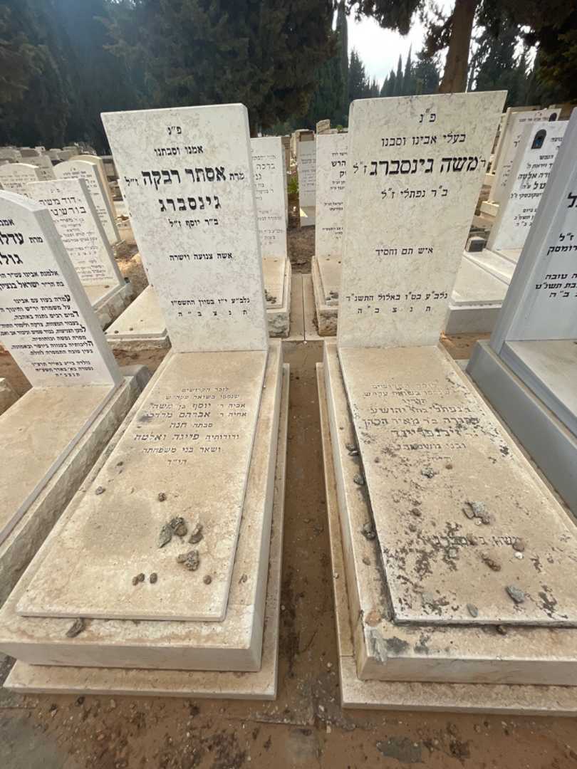 קברו של משה גינסברג. תמונה 2