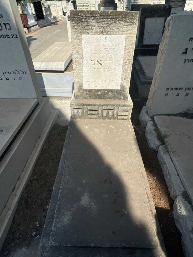קברו של צביה אריאלי