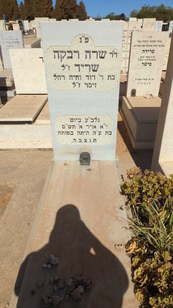 קברו של שרה רבקה שריד