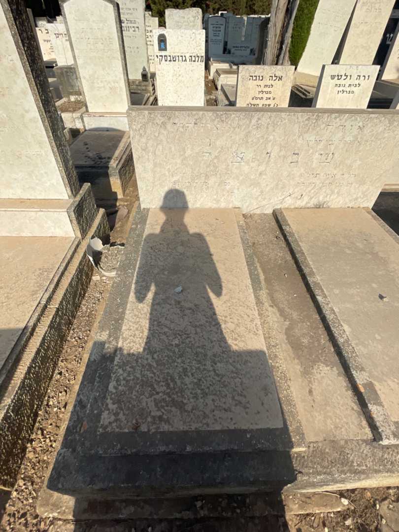 קברו של איזידור שניצר. תמונה 2