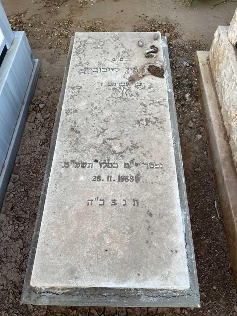 קברו של בנימין לייבוביץ