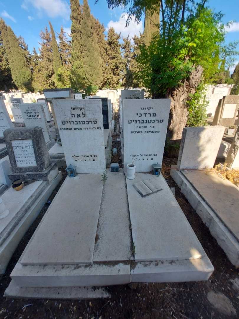 קברו של לאה טרכטנברויט. תמונה 1