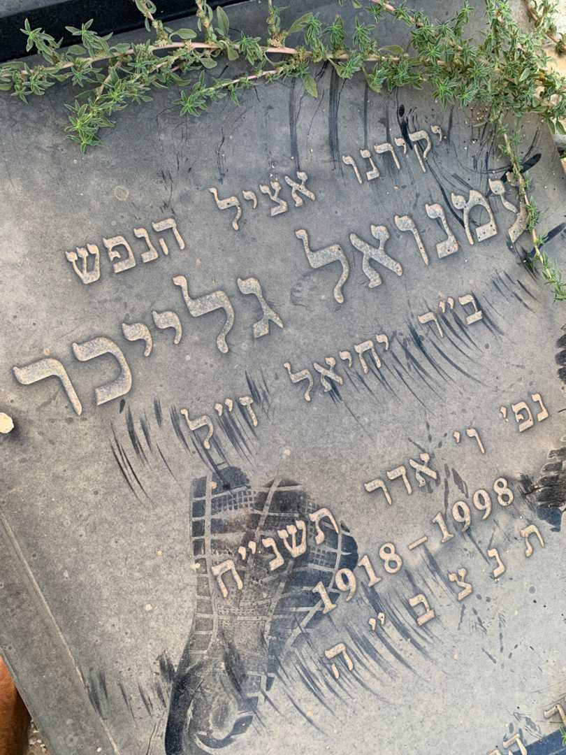 קברו של עמנואל גלייכר. תמונה 3