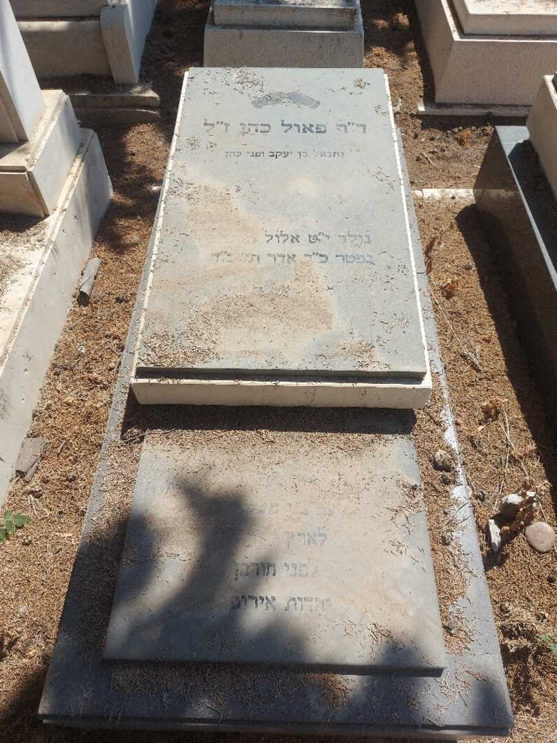 קברו של פאול כהן. תמונה 2