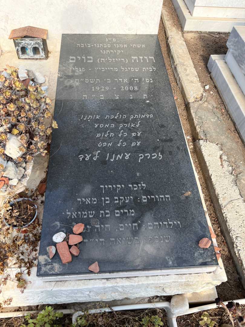 קברו של רוזה "רייזל׳ה" בוים. תמונה 1