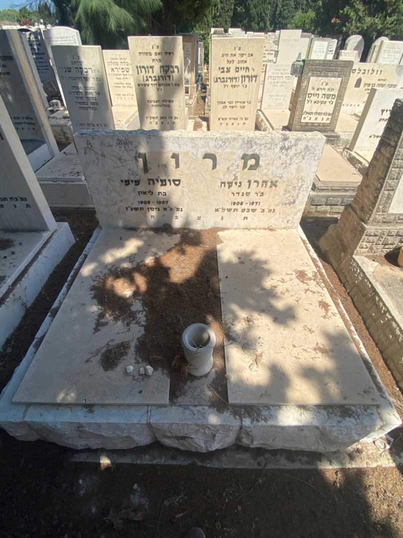 קברו של אהרן "ניקה" מרון. תמונה 2