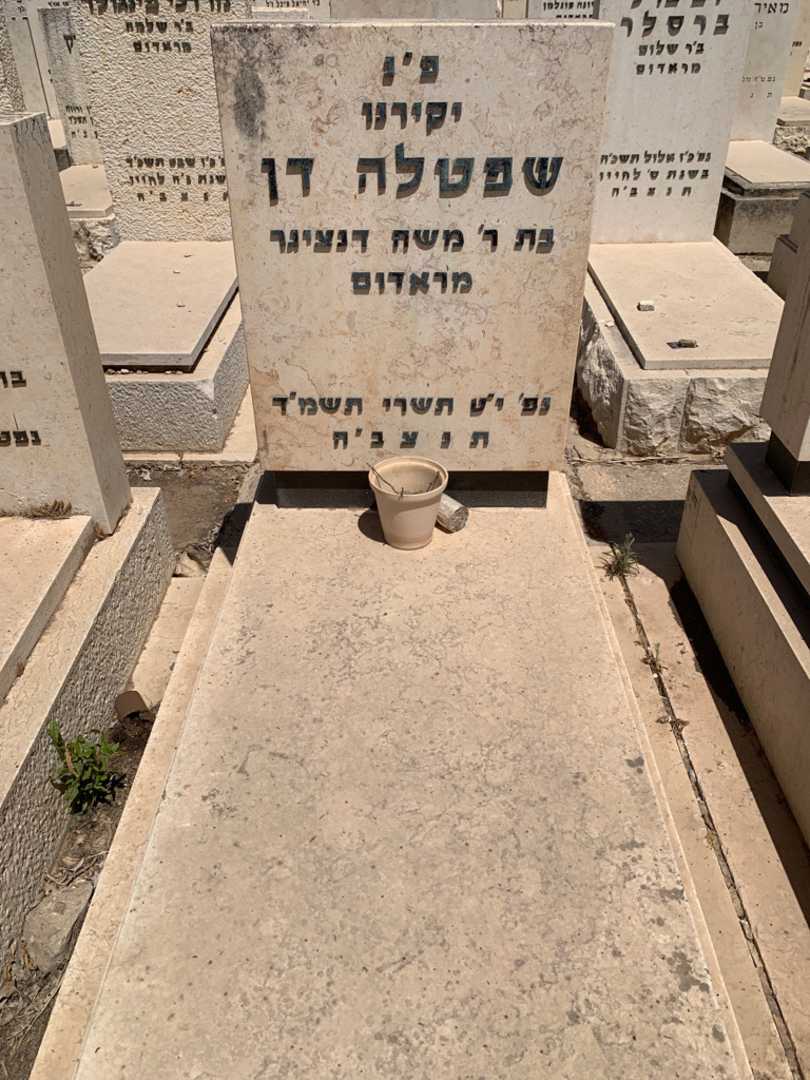קברו של שפטלה דן