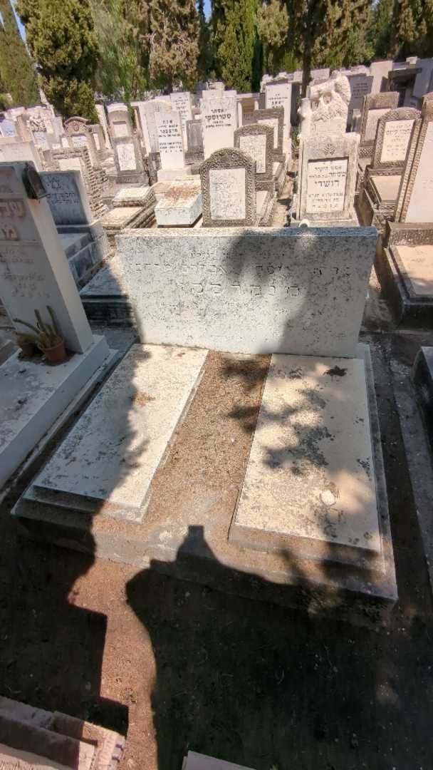 קברו של אברהם מרדכי מנקרסקי. תמונה 1