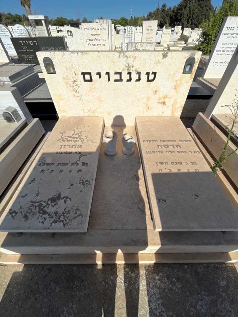 קברו של הדסה טננבוים. תמונה 1