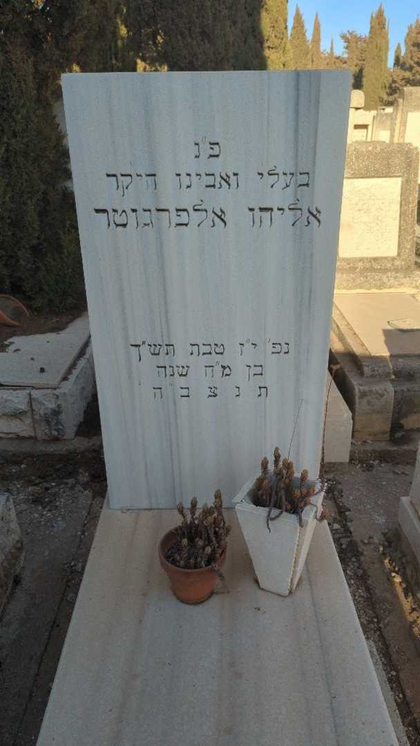 קברו של אליהו אלפרגוטר