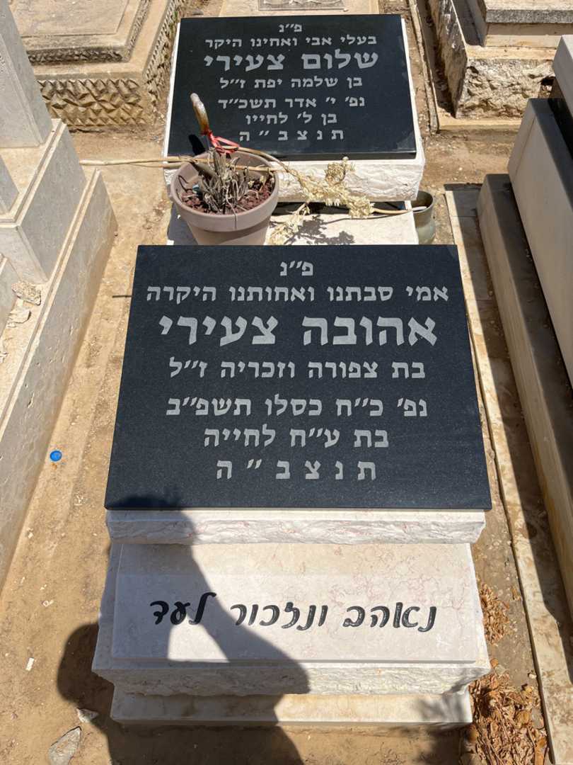 קברו של אהובה צעירי