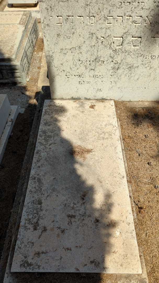 קברו של אברהם מרדכי מנקרסקי. תמונה 2