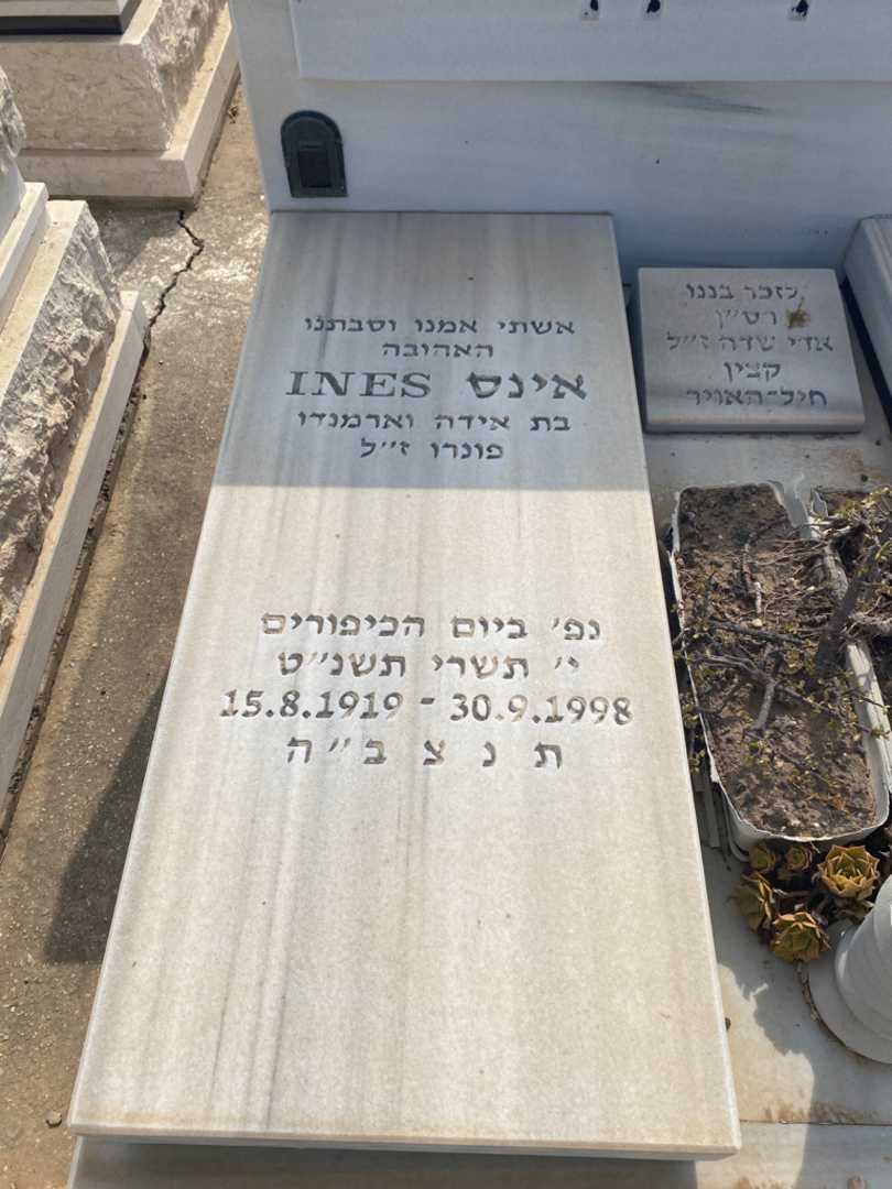 קברו של אינס שדה. תמונה 1
