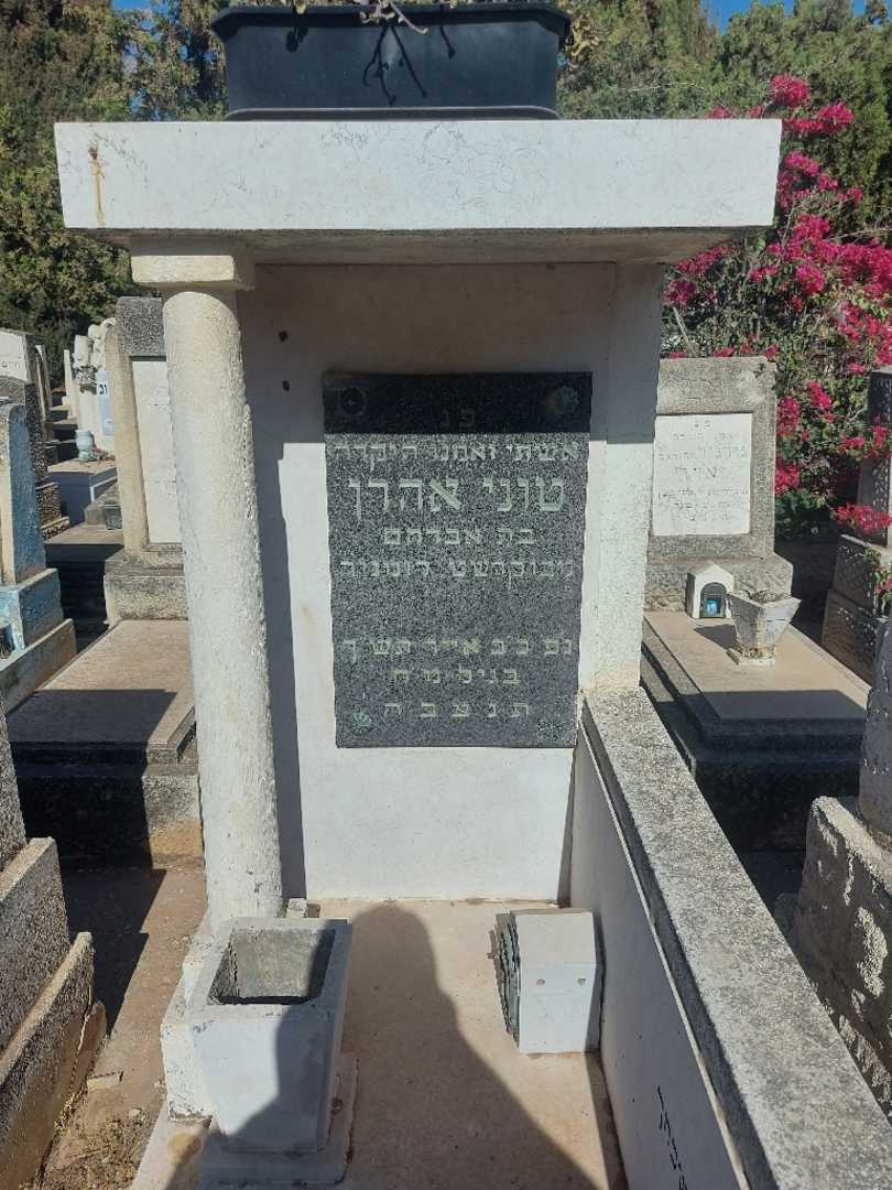 קברו של טוני אהרן. תמונה 1