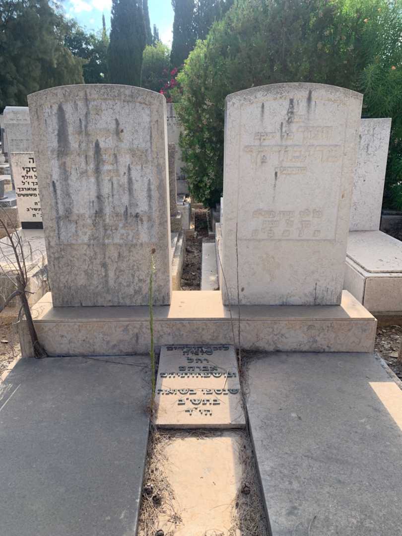קברו של חנוך פריבורקר. תמונה 1