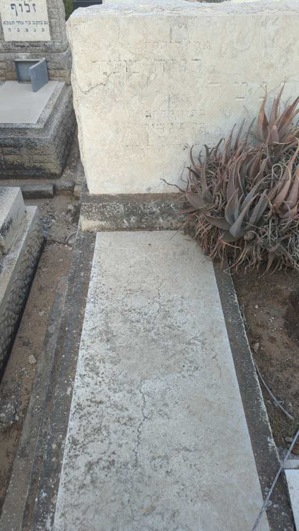 קברו של רוזה שושנה רוזנטל. תמונה 1
