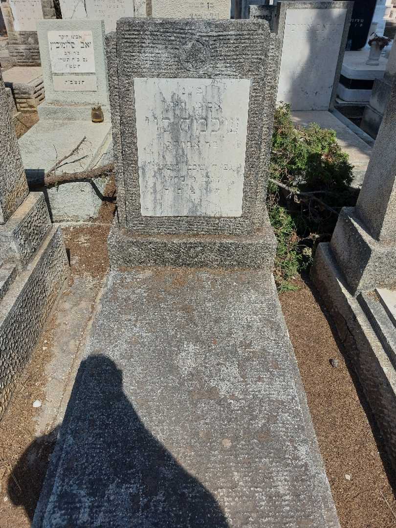 קברו של שלמה לוי
