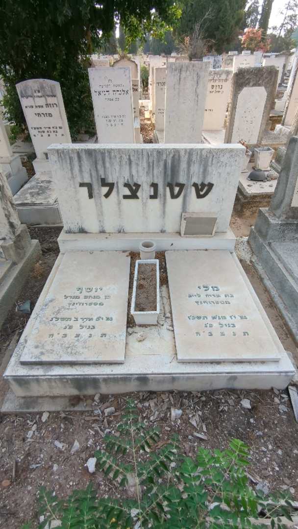 קברו של יוסף שטנצלר. תמונה 2