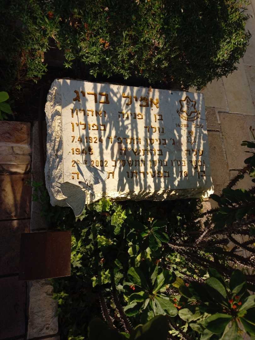 קברו של אמיל בריג. תמונה 2