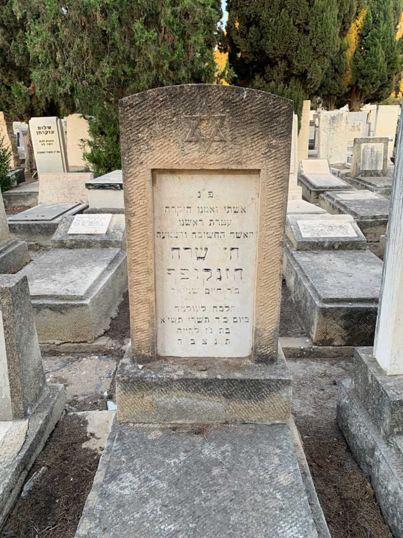 קברו של חי שרה הזנקופף