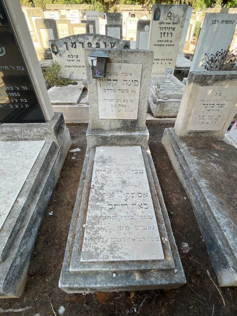 קברו של פיגה קליין