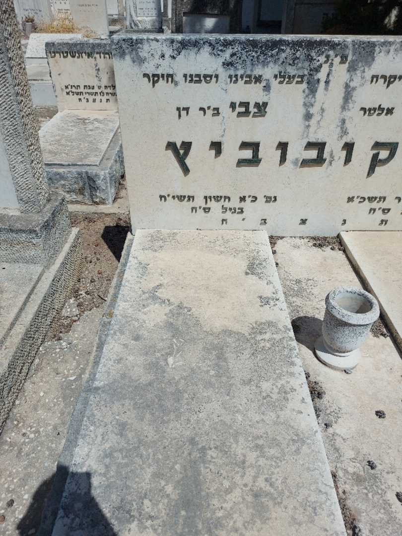 קברו של צבי יעקובוביץ. תמונה 1