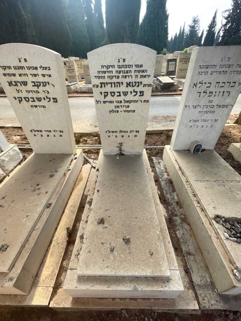 קברו של ינטא יהודית פלישבסקי. תמונה 2