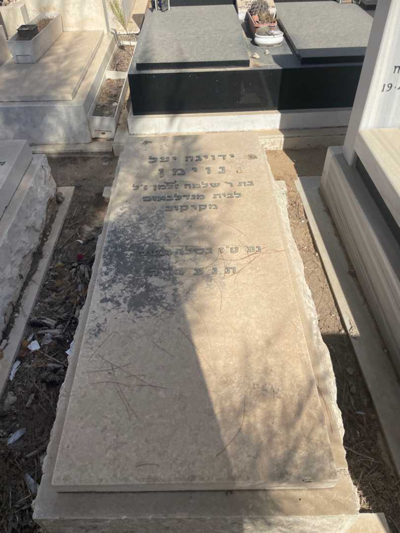 קברו של ידויגה יעל נוימן. תמונה 2