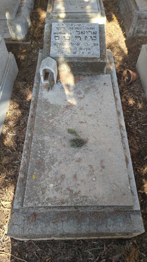 קברו של אריאל טזרטס. תמונה 1