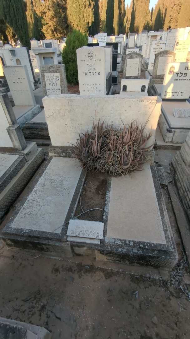 קברו של רוזה שושנה רוזנטל. תמונה 2