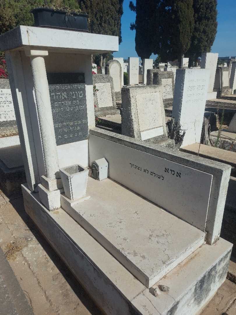 קברו של טוני אהרן. תמונה 2