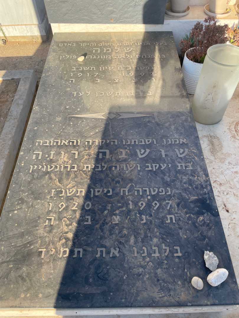 קברו של שושנה רוזה לוינשטין מילר. תמונה 2